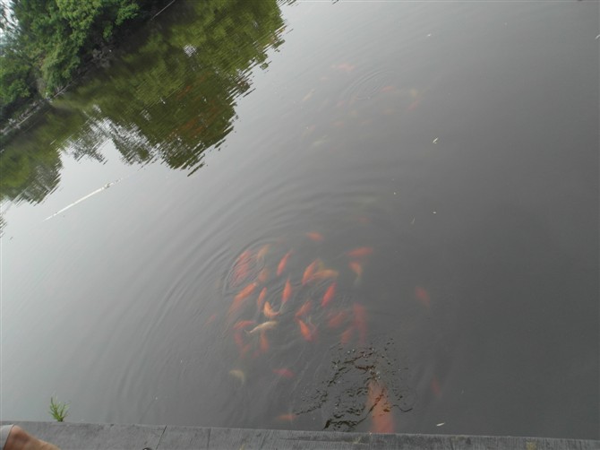 �t�~(y��)��